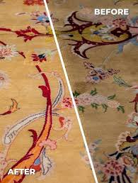 the 1 area rug cleaning service in