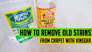 old stains from carpet with vinegar