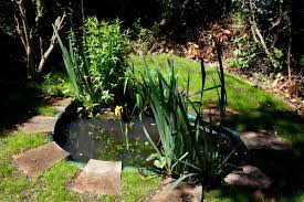 installing a preformed pond water