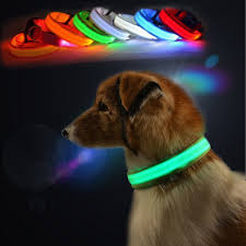 M Pet Dog Led Collar Nylon Safety Light Up Flashing Collar Small Animals Collars Harnesses Leashes Brigs Com