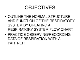Respiratory System Ppt Download