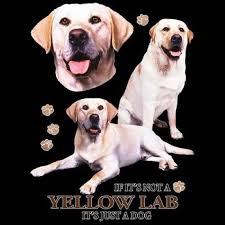 Yellow Labrador Retriever Dog Womens Short Or Long Sleeve Shirt Or Tank Top 21398hd4