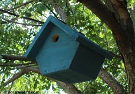 Wren Birdhouse Free Woodworking Plan Com