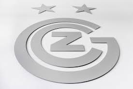 Looking for online definition of gc or what gc stands for? Starker Investor Fur Gc Grasshopper Club Zurich