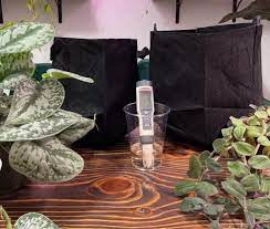How To Clean Fabric Grow Bags Growing
