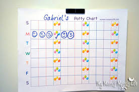 Potty Training Success Story Use A Chart Free Printable