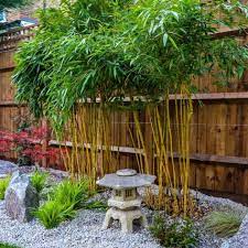 7 Japanese Garden For Small Backyard