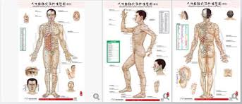Us 16 98 Standard Meridian Points Of Human Wall Charts Body Acupuncture Points Chart Holographic Beauty Moxibustion For Male Female In Massage