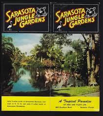 Vintage Sarasota Jungle Gardens A