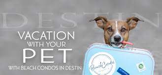 vacation with your pet in destin fl