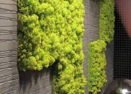 Vertical Garden With Moss Tiles