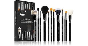 sigma beauty essential brush set