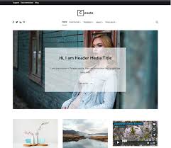 These plugins include customizations for the comment section, author box, contact. 30 Best Free Personal Blog Wordpress Themes Templates 2020