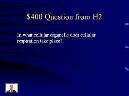 This is the currently selected item. Jeopardy Photosynthesis Cellular Respiration Photosynthesis Vs Respiration Chloroplasts