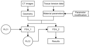 Finite Element Analysis For Blood Accumulation In