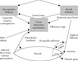 6 schema theory motor response program