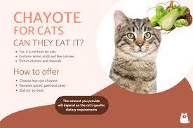 can cats eat chayote benefits and