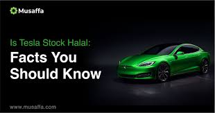 is tesla stock halal facts you should