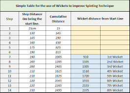 Wickets For Improvement Of Sprint Technique And Speed