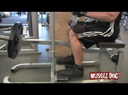 seated calf raise exercise form guide