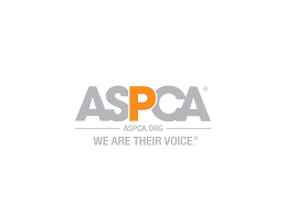 Pet health insurance can help lessen the burden of cost. Aspca Pet Insurance Review Paws Plus Insurance