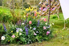16 cut flower garden ideas to help you