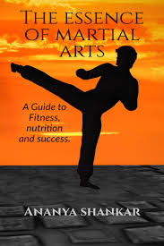 what is the essence of martial arts