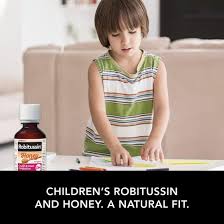 robitussin honey day night cough dm 8oz