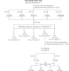 Flow Chart Of Bsl Assay Guided Fractionation Of Cytotoxic