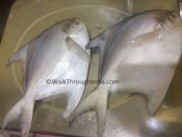 top 12 most por sea fish found in india