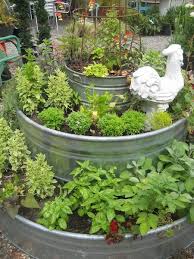 Raised Vegetable Gardens Veggie Garden