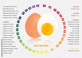 boiled egg nutrition facts infographic