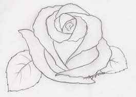 Learning how to draw roses is as simple and easy as that. Easy Pencil Drawings Of Flowers Step By Flower Sketches Roses Drawing Flower Drawing
