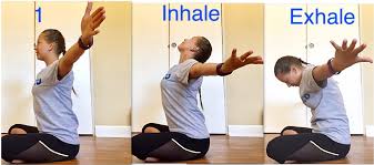 Cat/cow pose (marjaryasana/bitilasana) is a wonderful way to warm up the spine at any point on or off your mat. Stretch Of The Week Seated Cat Cow With Arm Rotation Athletico