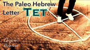 9 tet paleo hebrew alphabet the