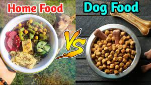 homemade dog food vs dog food in