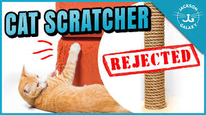 your cat won t use the scratching post