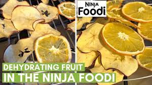 dehydrating fruit in the ninja foodi