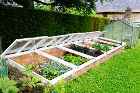 Cold Frame Diy Ideas