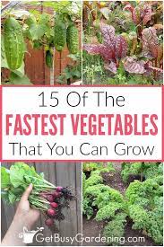 15 Fastest Growing Vegetables You Can