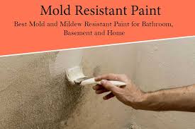 6 Best Mold Resistant Paint And Killing