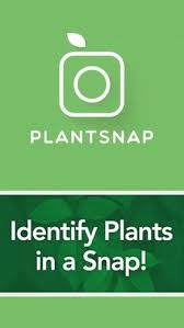 plantsnap identify plants flowers
