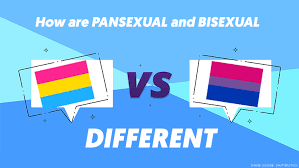 As a result, they are attracted to all genders. What S The Difference Between Pansexual And Bisexual