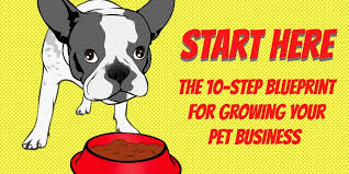 The 10 Step Blueprint For Starting A Dog Walking Pet Sitting
