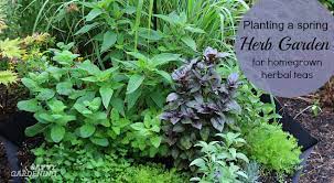 Planting A Spring Herb Garden For