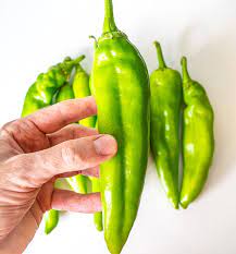 Hatch Chili Pepper gambar png