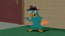 Phineas and ferb 2nd dimension perry. Perry The Platypus Gifs Tenor