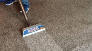 carpet cleaning saigers steam clean