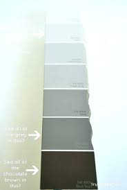 Dove Grey Colour Beautydestinations Co