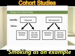 Selecting the appropriate study design  Case   control and cohort     AinMath Illustration shows prospective cohort study  retrospective cohort study   case control study  and cross sectional study 